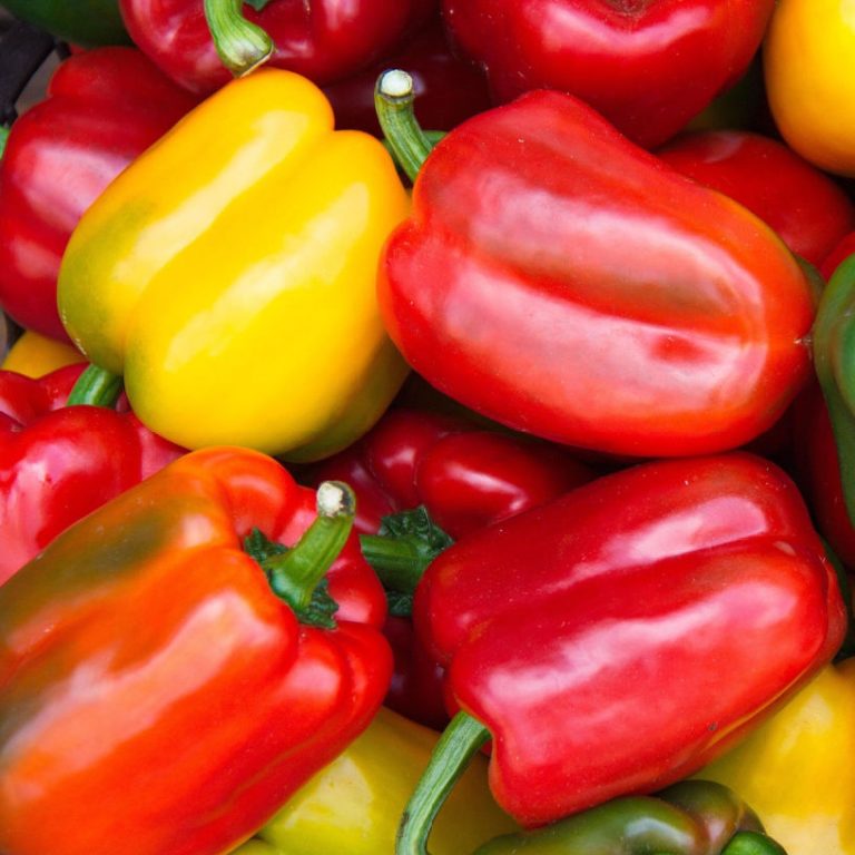 British seasonal food in August – what to eat now