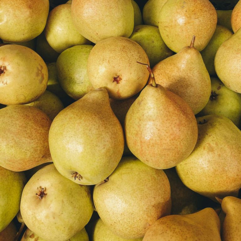 British seasonal food in September – what to eat now