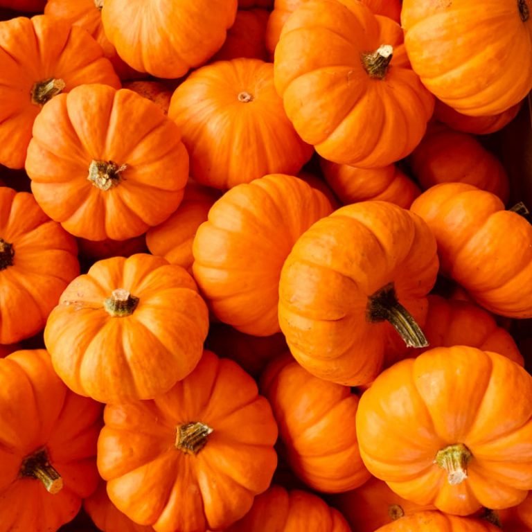 British seasonal food in October – what to eat now